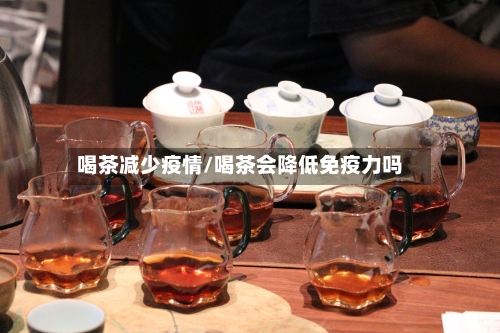 喝茶减少疫情/喝茶会降低免疫力吗