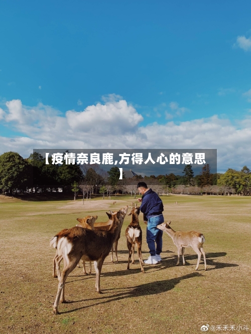 【疫情奈良鹿,方得人心的意思】