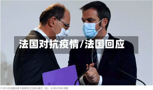 法国对抗疫情/法国回应-第2张图片