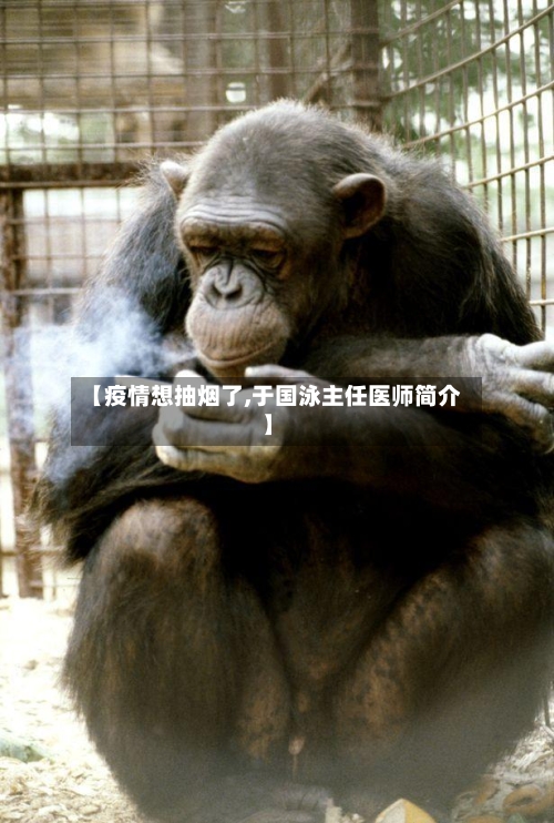 【疫情想抽烟了,于国泳主任医师简介】-第3张图片