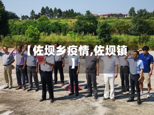 【佐坝乡疫情,佐坝镇】