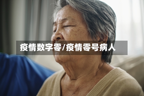 疫情数字零/疫情零号病人-第2张图片