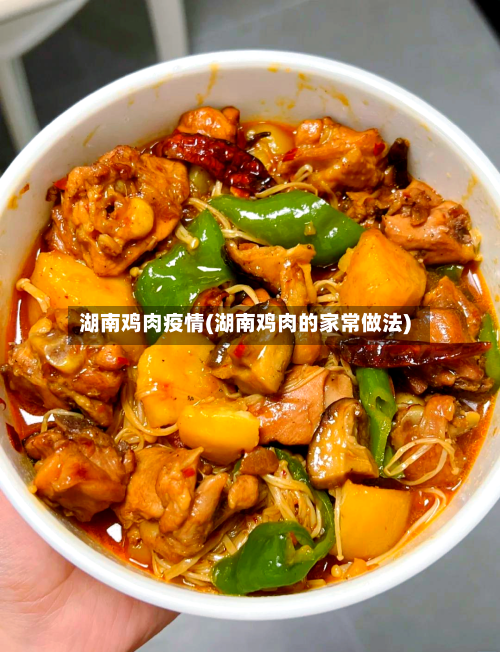 湖南鸡肉疫情(湖南鸡肉的家常做法)