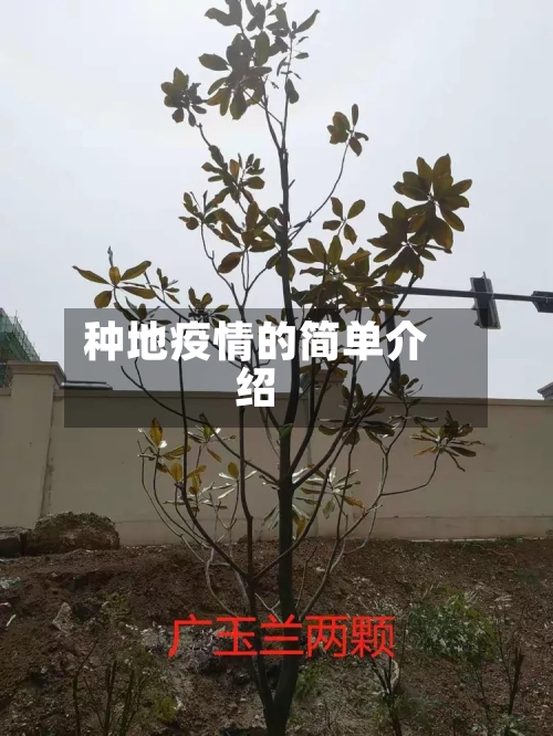种地疫情的简单介绍-第2张图片