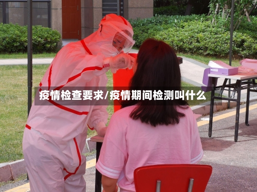 疫情检查要求/疫情期间检测叫什么