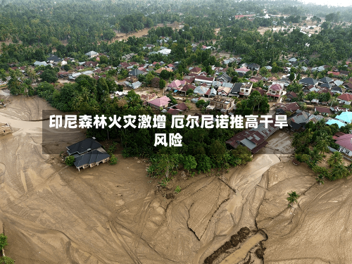 印尼森林火灾激增 厄尔尼诺推高干旱风险