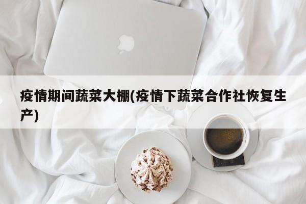 疫情期间蔬菜大棚(疫情下蔬菜合作社恢复生产)
