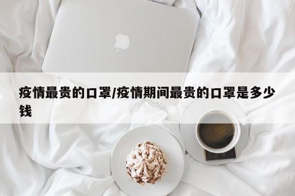 疫情最贵的口罩/疫情期间最贵的口罩是多少钱