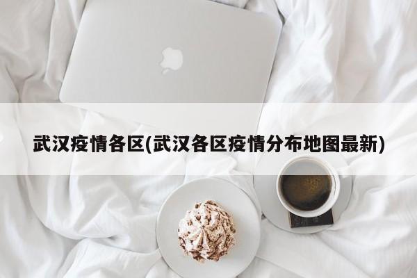 武汉疫情各区(武汉各区疫情分布地图最新)