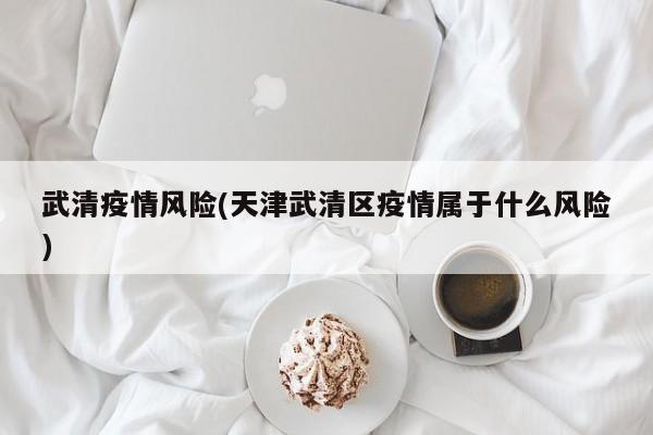 武清疫情风险(天津武清区疫情属于什么风险)