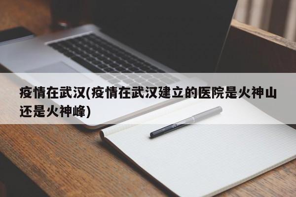 疫情在武汉(疫情在武汉建立的医院是火神山还是火神峰)