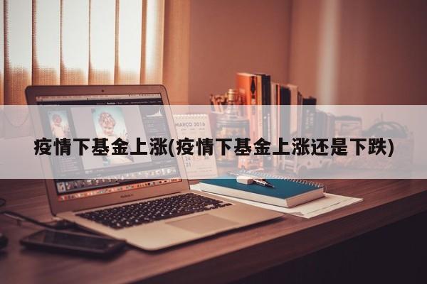 疫情下基金上涨(疫情下基金上涨还是下跌)