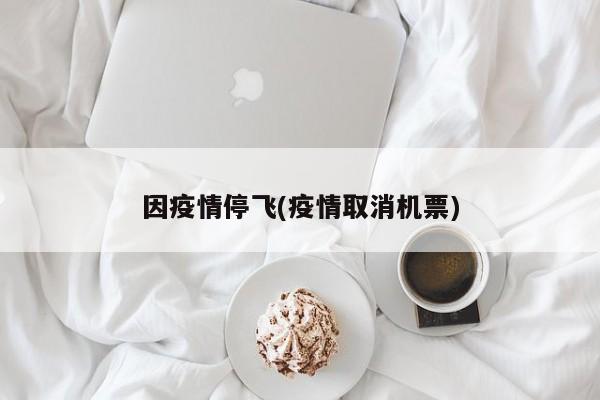 因疫情停飞(疫情取消机票)